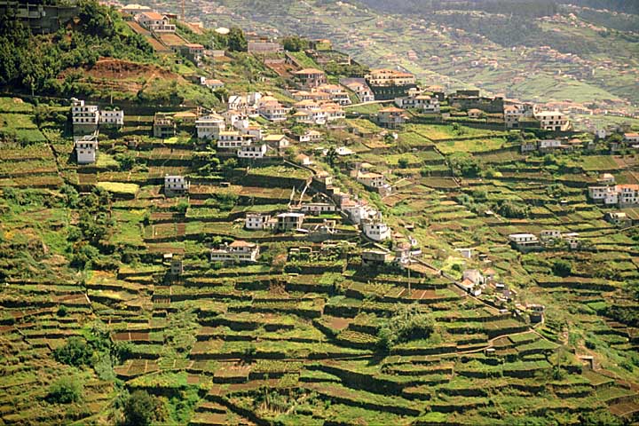 Levada do Norte, Terrassenlandwirdschaft